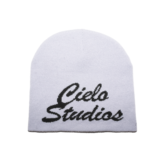 Gray Logo Skull Cap